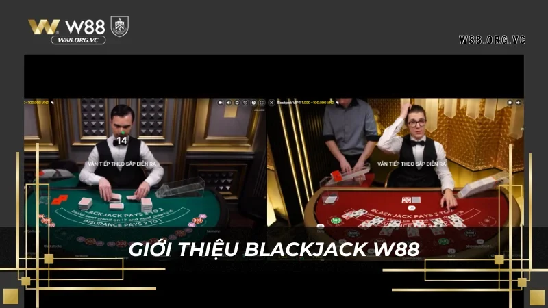 Giới thiệu khái quát bộ môn cá cược blackjack W88 